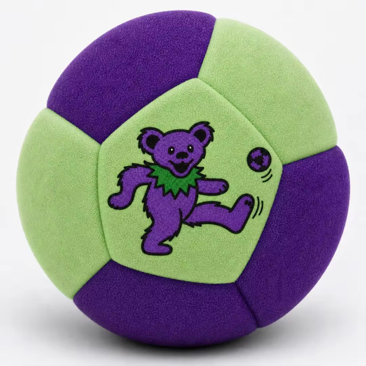 Groovy Bear Sack — purple and green hacky sack